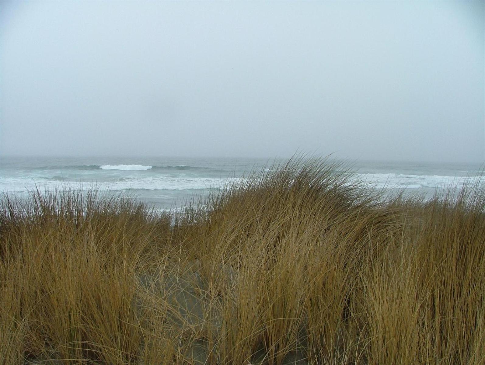 Vila Paseo Del Mar Fort Bragg Exteriér fotografie